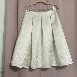 Express skirt